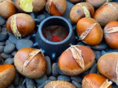 焼けた栗