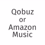 Qobuz or Amazon Music