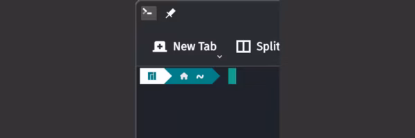 Manjaro Powerlevel10k